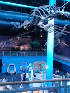 Ripley's Aquarium of the Smokies building in Gatlinburg, Tennessee