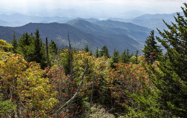 Panoramic mountain view from Clingmans Dome observation tower