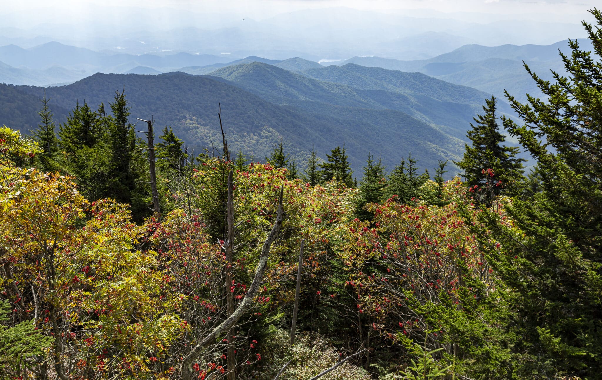 Panoramic mountain view from Clingmans Dome observation tower