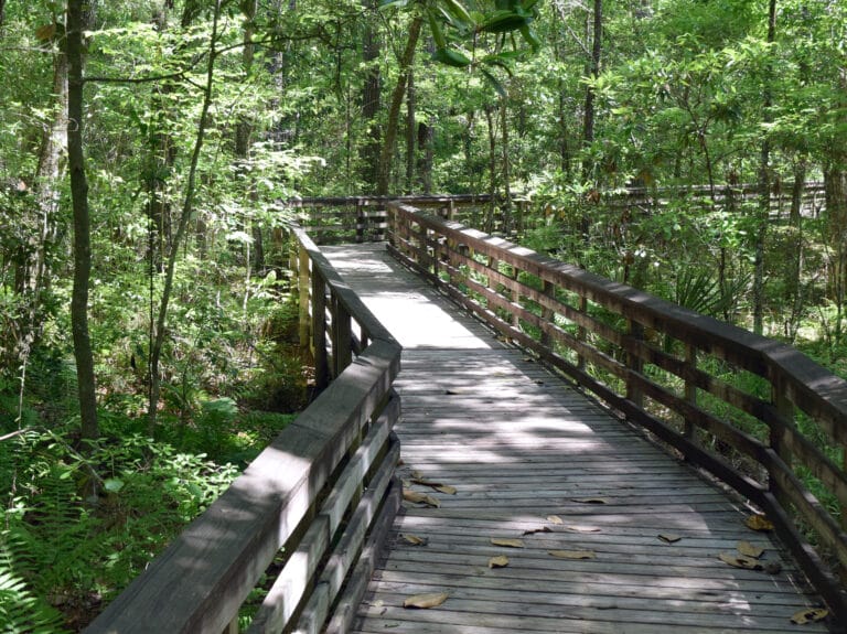 Wooden boardwalk trail through a wooded coastal Alabama nature preserve