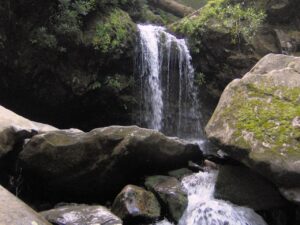 Grotto Falls waterfall along the Trillium Gap Trail in the Great Smoky Mountains