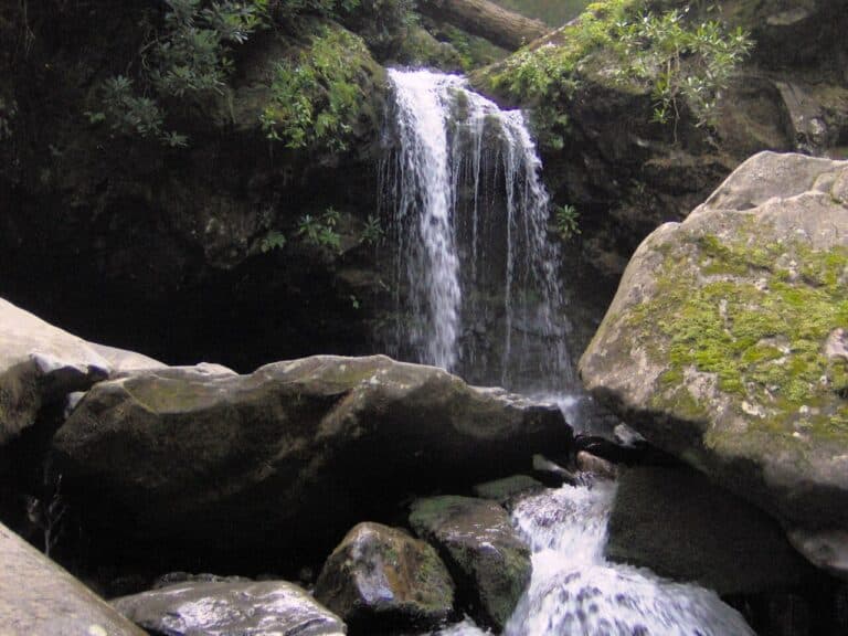Grotto Falls waterfall along the Trillium Gap Trail in the Great Smoky Mountains