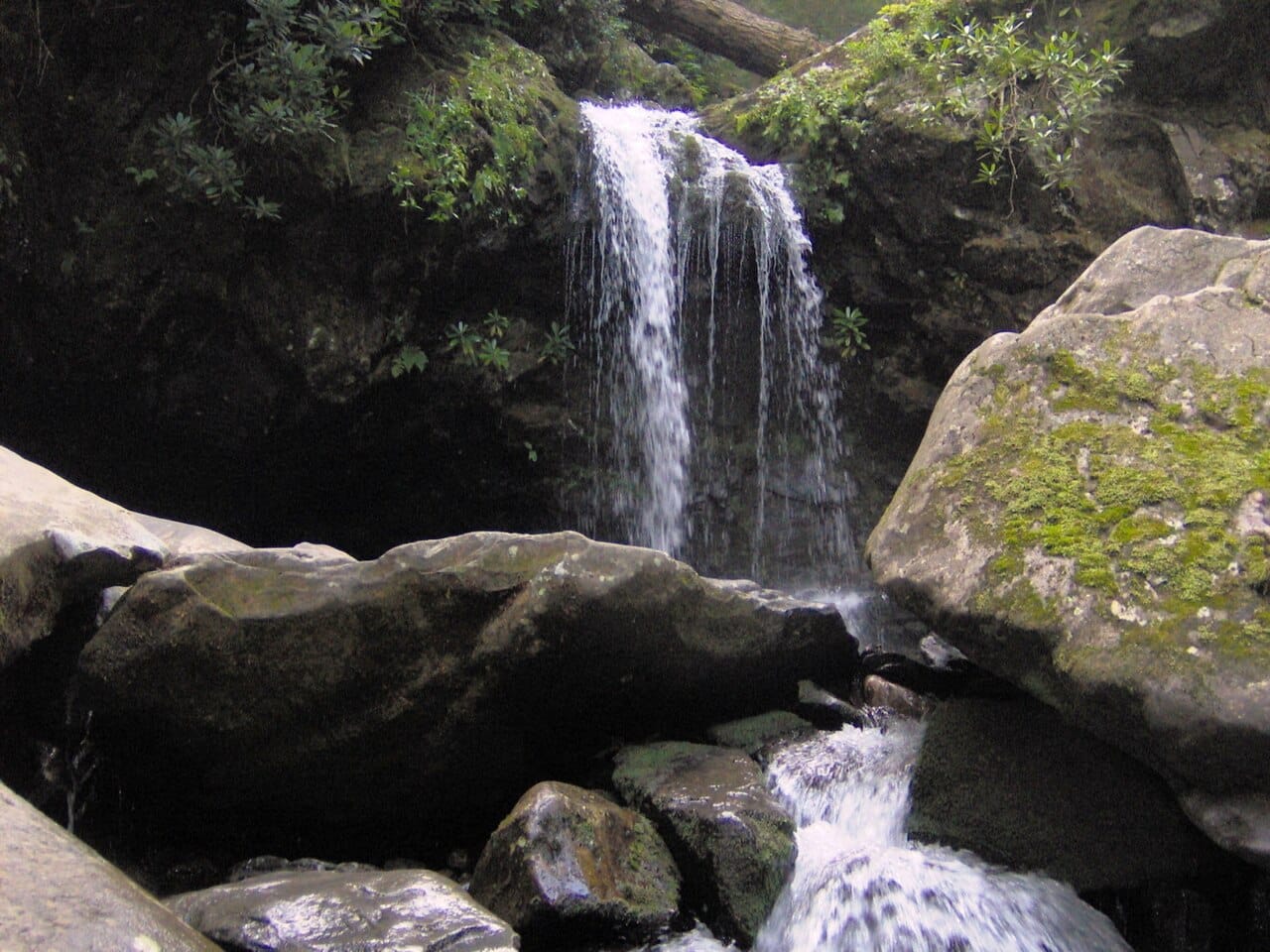 Grotto Falls waterfall along the Trillium Gap Trail in the Great Smoky Mountains